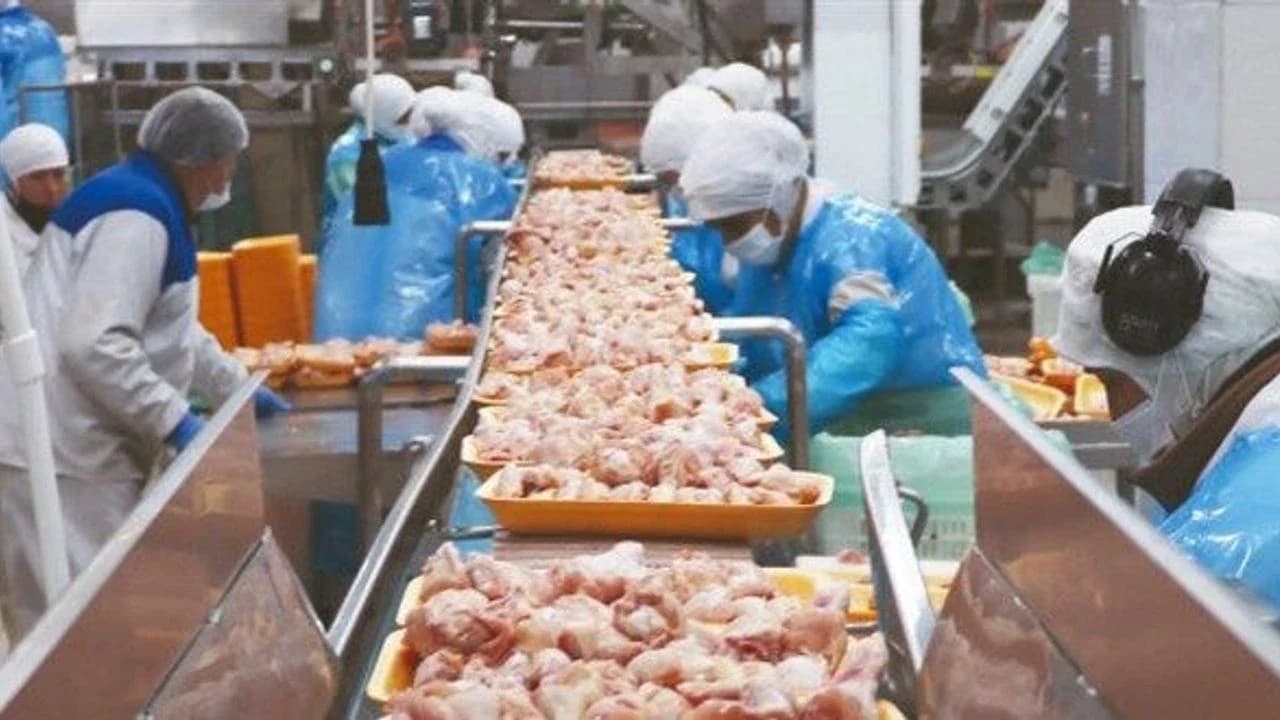 Beyaz Et Devlerine Operasyon: 13 Şirkete Kayyım Kararı